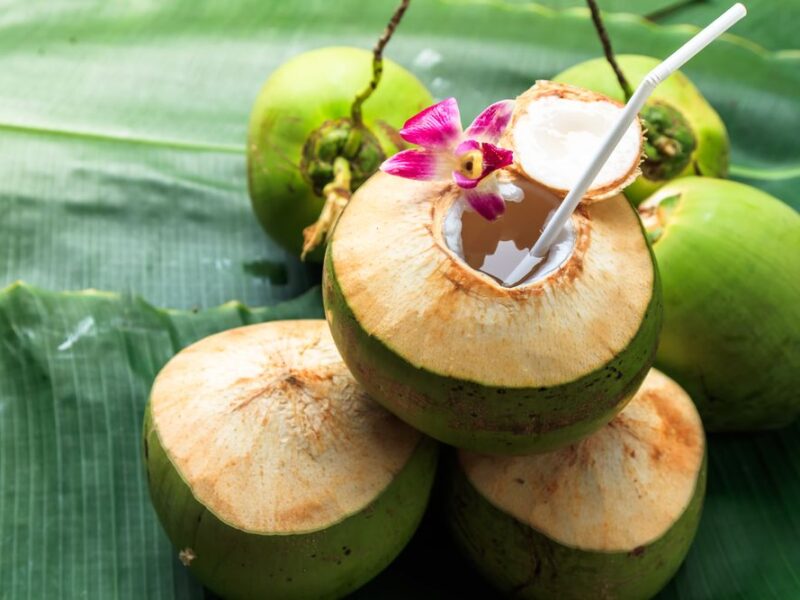 The Benefits of Drinking Coconut Water
